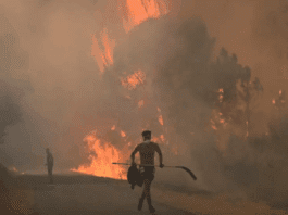 España enfrenta devastadores incendios forestales: tres muertos, miles de evacuados y emergencia climática
