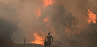 España enfrenta devastadores incendios forestales: tres muertos, miles de evacuados y emergencia climática