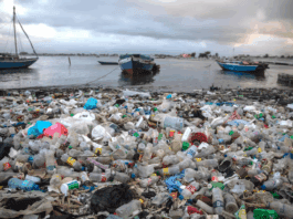 Fracasan negociaciones globales contra contaminación plástica