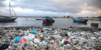 Fracasan negociaciones globales contra contaminación plástica