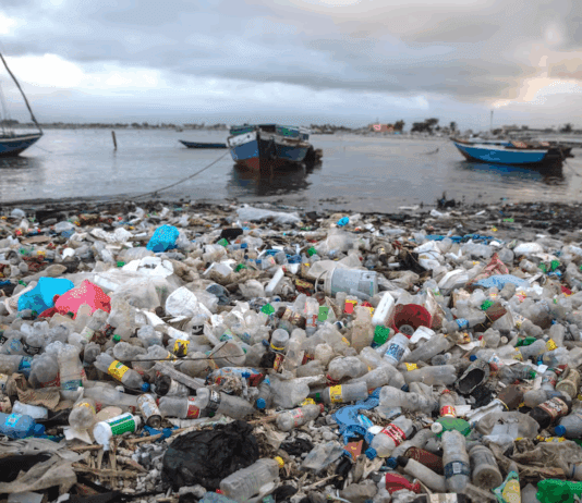 Fracasan negociaciones globales contra contaminación plástica