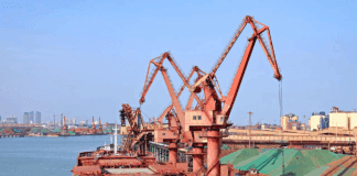 Flota granelera global envejece: buques pasan de 8,6 a casi 13 años de antigüedad en 2025