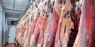 Faena bovina superó 181.000 cabezas