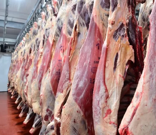 Faena bovina superó 181.000 cabezas