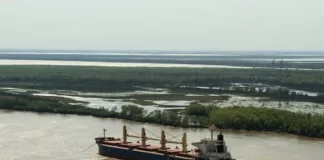 Paraguay registra déficit comercial de USD 831,4 millones