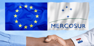 Acuerdo Mercosur-UE: Paraguay se posiciona para un salto estratégico en exportaciones y competitividad Acuerdo Mercosur-UE: Paraguay se posiciona para un salto estratégico en exportaciones y competitividad