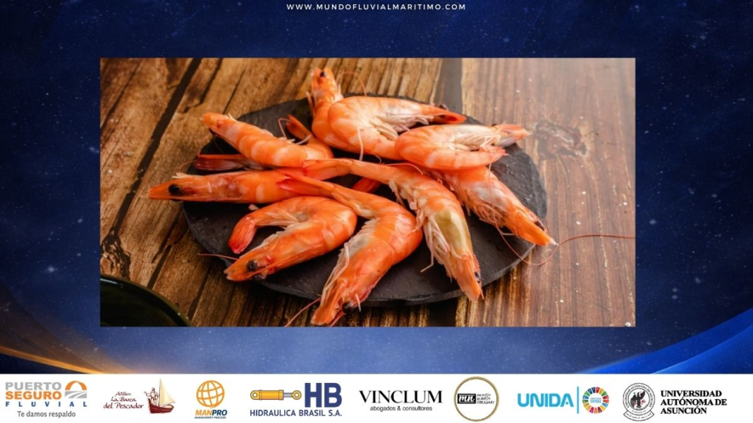 El Milagro del Chaco Paraguay rompe la mediterraneidad y se convierte en exportador de langostinos marinos