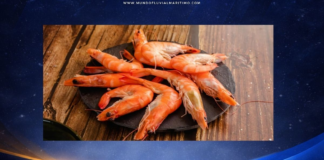 El Milagro del Chaco: Paraguay rompe la mediterraneidad y se convierte en exportador de langostinos marinos