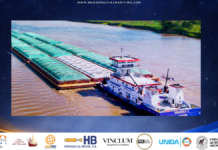 Alerta en el Complejo Granalero: Agroexportadores vigilan la adjudicación de la Hidrovía Paraná-Paraguay ante el impacto del futuro peaje