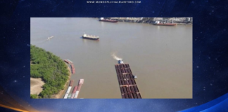 Disputa de Alta Intensidad: La licitación de la Hidrovía Paraguay-Paraná desata tensiones estratégicas entre Estados Unidos y China