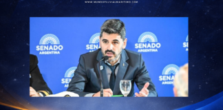 La Encrucijada de la Bandera: El debate sobre el cabotaje divide a la marina mercante y desnuda las asimetrías del costo logístico regional