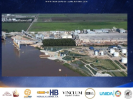 Impulso Multimodal: Terminal Timbúes suma supermaquinarias bajo el RIGI para potenciar el principal nodo exportador de la Hidrovía