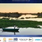 Advierten que reactivar sin cuidados la Hidrovía del río Paraná puede causar graves daños ambientales: el desafío de equilibrar desarrollo logístico y sostenibilidad