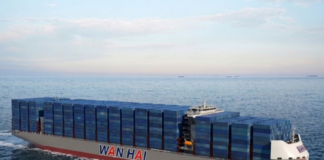 Wan Hai amplía su flota con ocho buques